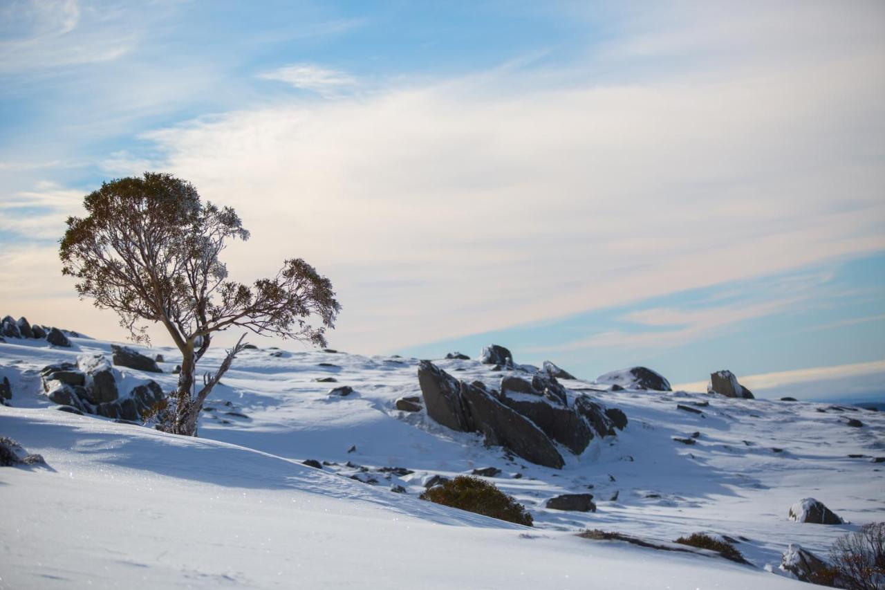 Aneeki Ski Lodge Thredbo Extérieur photo